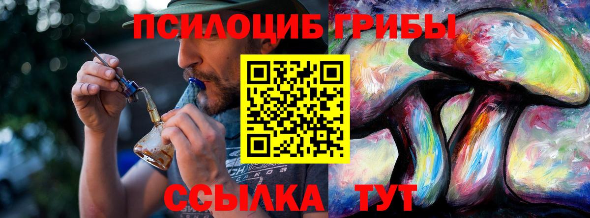 Галлюциногенные грибы прущие грибы Урай